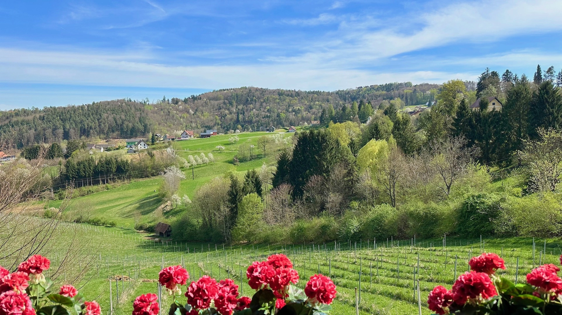 bz-immobilien